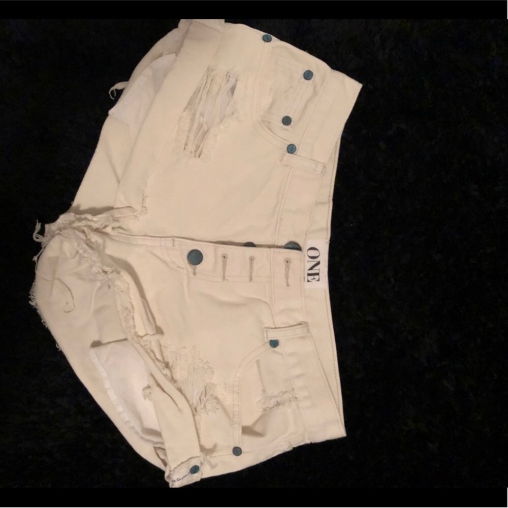 One Teaspoon Bandits